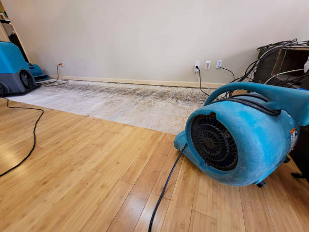 Professional Sewage Cleanup technician working in Rural Ridge, PA